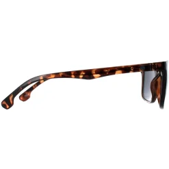 Smarty Sunglasses SB2308 B Demi Black Tortoise Brown Grey