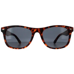 Smarty Sunglasses SB2309 B Satin Dark Tortoise Brown Grey