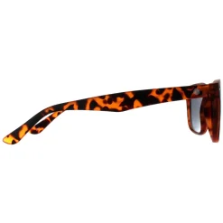 Smarty Sunglasses SB2309 B Satin Dark Tortoise Brown Grey