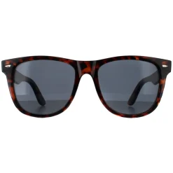 Smarty Sunglasses SB2304 B Tortoise Brown Grey