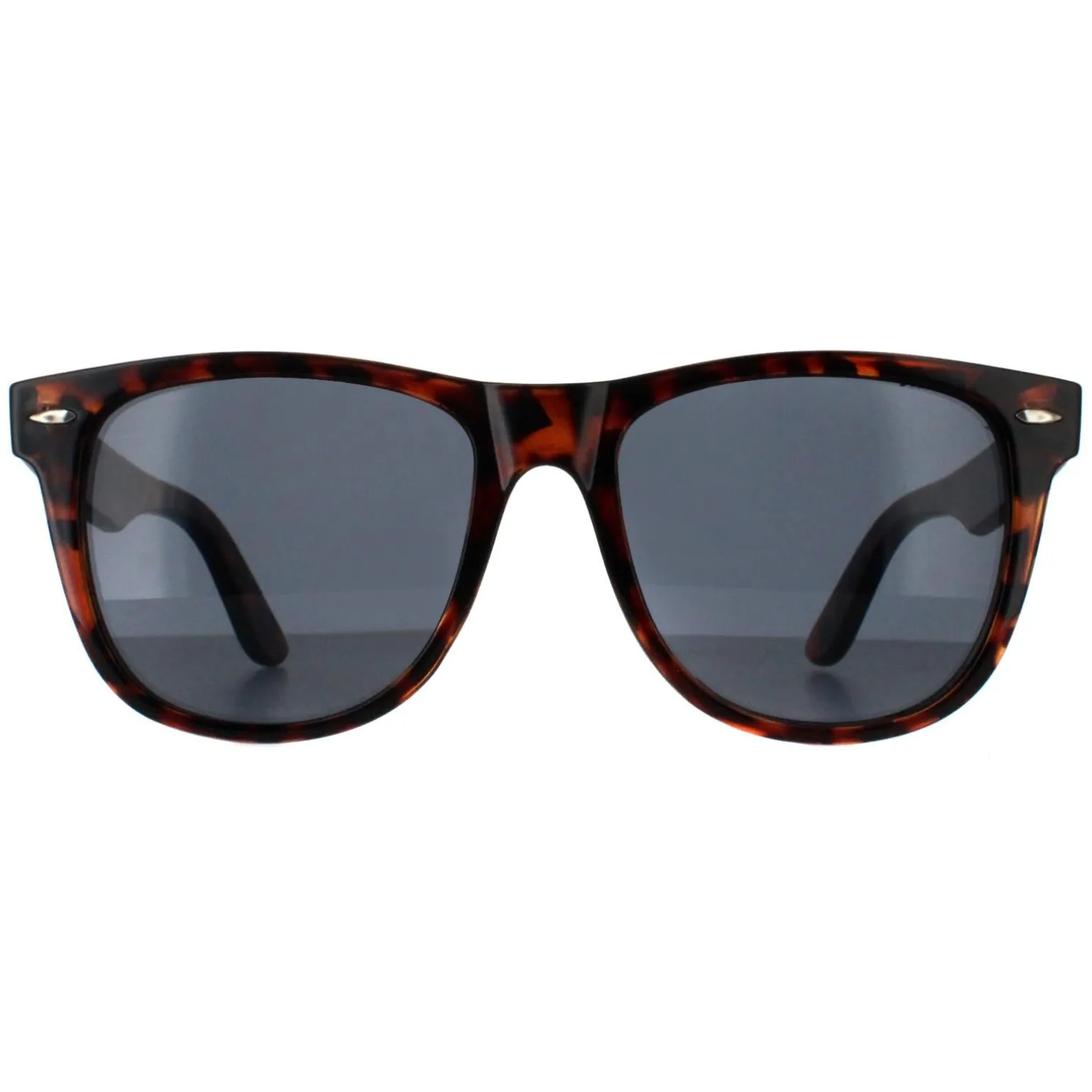 Smarty Sunglasses SB2304 B Tortoise Brown Grey