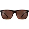 Smarty Sunglasses SB2201 B Tortoise Brown Brown