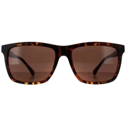 Smarty Sunglasses SB2201 B Tortoise Brown Brown