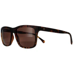 Smarty Sunglasses SB2201 B Tortoise Brown Brown