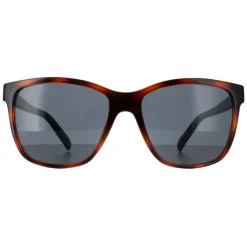Smarty Sunglasses SB2315 C Tortoise Brown Blue Grey Blue
