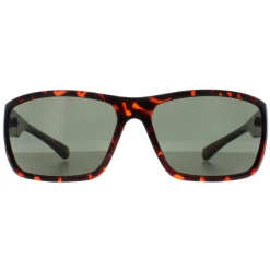 Smarty Sunglasses X2135 B Demi Brown Tortoise Green