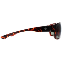 Smarty Sunglasses X2135 B Demi Brown Tortoise Green