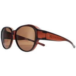 Smarty Sunglasses X2115 B Transparent Brown EF Brown