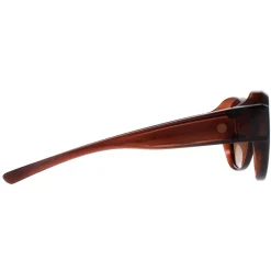 Smarty Sunglasses X2115 B Transparent Brown EF Brown