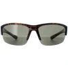 Smarty Sunglasses X2036 C Demi Brown Tortoise Green