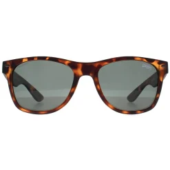 Superdry Sunglasses Alfie 102P Havana Green