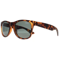Superdry Sunglasses Alfie 102P Havana Green