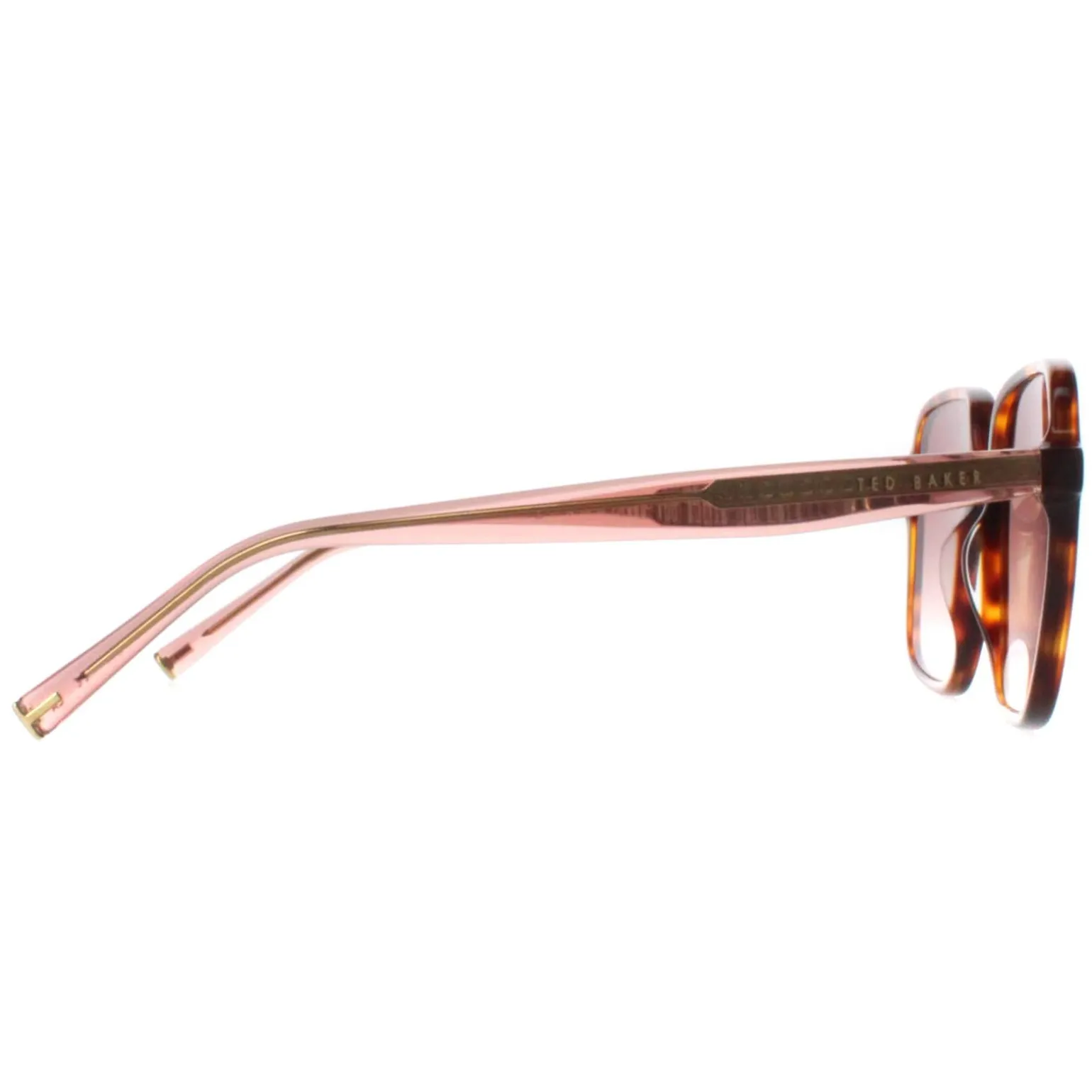 Ted Baker Sunglasses TB1688 100 Tortoise Pink Gradient