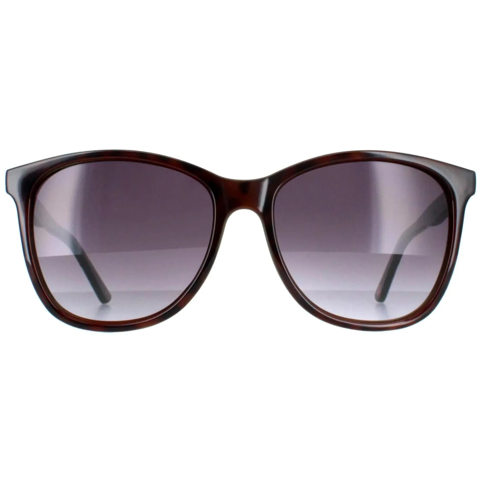 Ted Baker Sunglasses TB1496 Alva 112 Tortoiseshell Grey Gradient