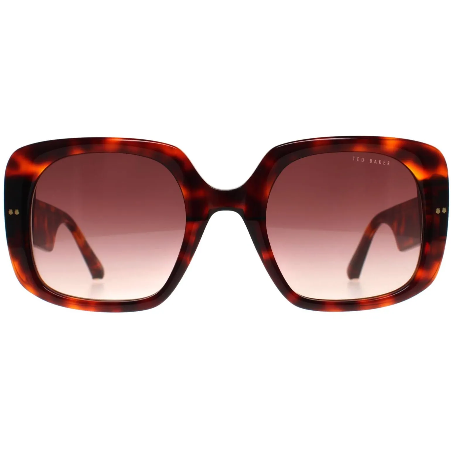 Ted Baker Sunglasses TB1730 Catrina 100 Tortoise Brown Gradient