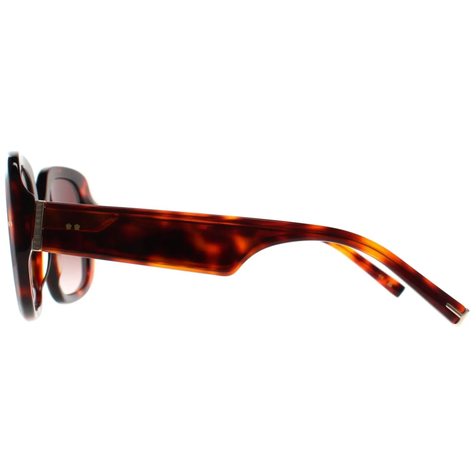 Ted Baker Sunglasses TB1730 Catrina 100 Tortoise Brown Gradient