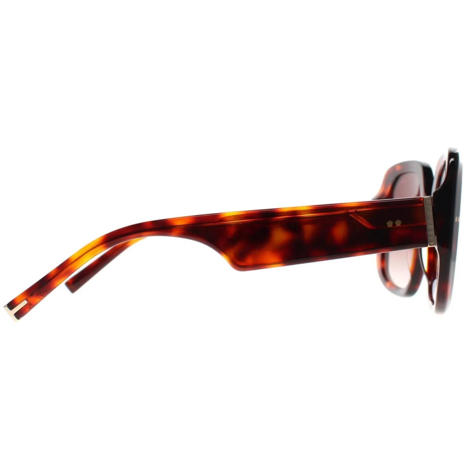 Ted Baker Sunglasses TB1730 Catrina 100 Tortoise Brown Gradient