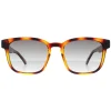 Ted Baker Sunglasses TB1635 Surf 122 Polished Dark Tortoise Grey Gradi