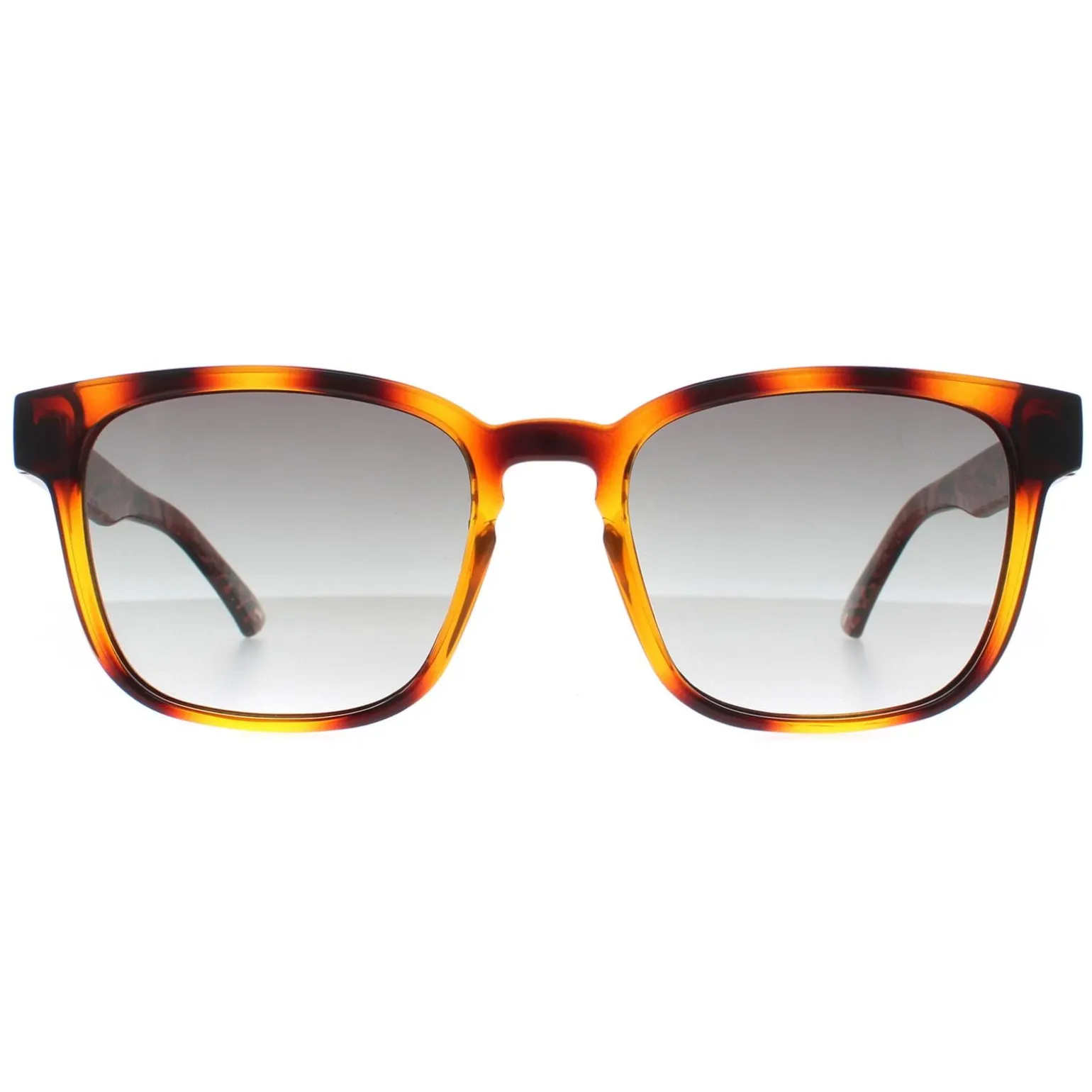 Ted Baker Sunglasses TB1635 Surf 122 Polished Dark Tortoise Grey Gradi