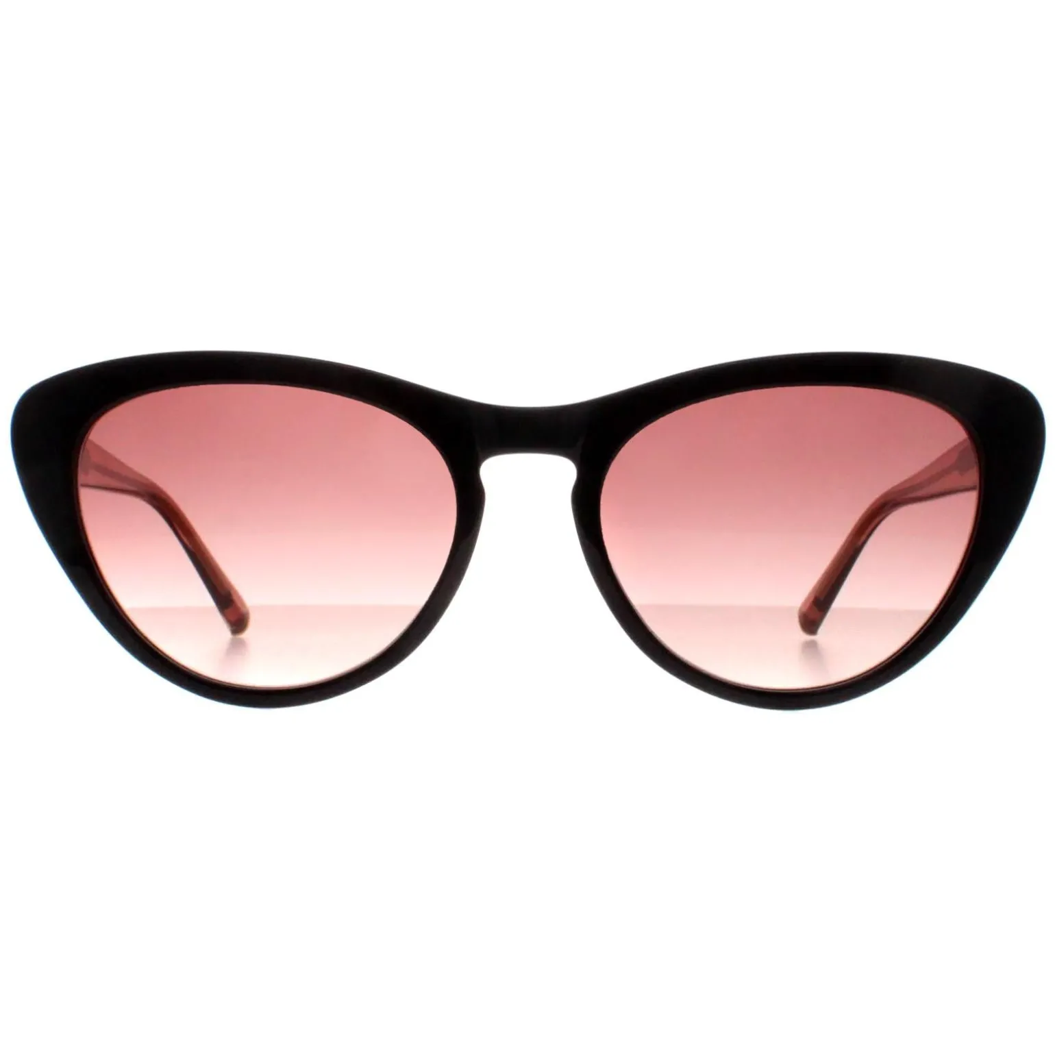 Ted Baker Sunglasses TB1690 Violet 001 Black Brown